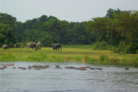 Rwanda Wildlife Adventures